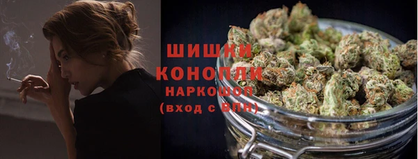PSILOCYBIN Кулебаки