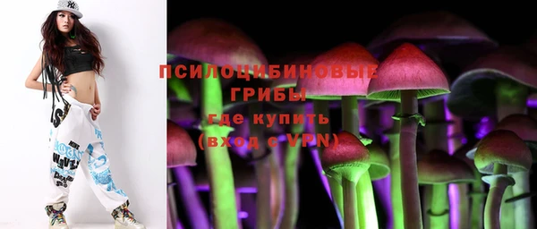 PSILOCYBIN Кулебаки
