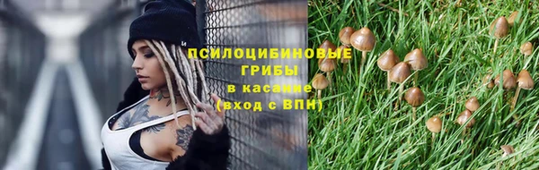 PSILOCYBIN Кулебаки