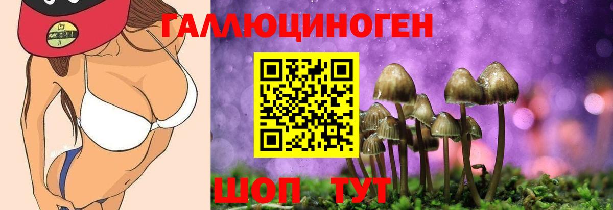 Галлюциногенные грибы MAGIC MUSHROOMS  Вход с VPN  Сибай 